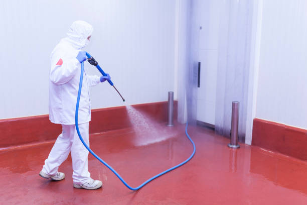 Best Gutter Cleaning and Brightening in Manana, HI